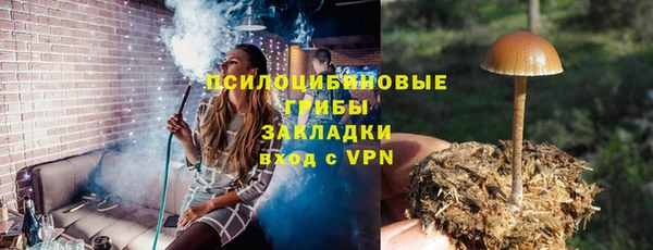прущие крисы Богородск