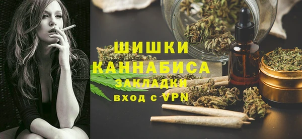 шишки Богданович