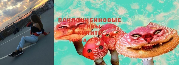 шишки Богданович