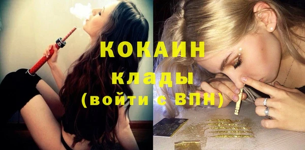 шишки Богданович